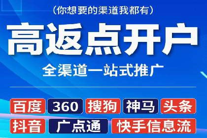 SEM推广实战：成功案例解读与策略调整